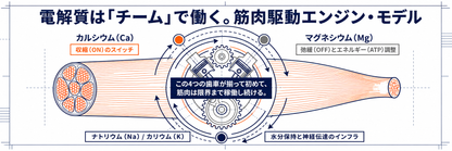 HYDRATION DRIVE 粉末スポーツドリンク 1.2kg｜レモンヨーグルト風味